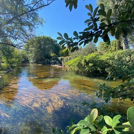Gite L'Odonate, Partage Des Eaux L'Isle-sur-la-Sorgue Ngoại thất bức ảnh
